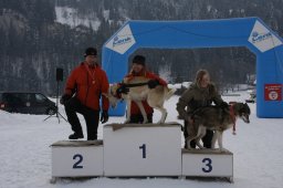 Lenk 2012 SM